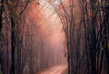 YIHAO-德约科维奇焦点对战，TheShy与50激战西班牙队分钟，夺冠胜负难料！